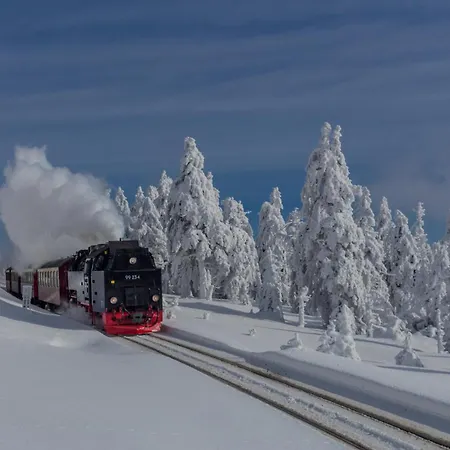 Lejlighed Robin #terrasse #netflix #einkaufen Von Harztraveler *