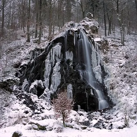 Robin #terrasse #netflix #einkaufen Von Harztraveler