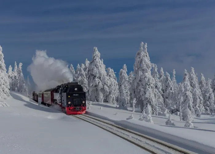 Lejlighed Robin #terrasse #netflix #einkaufen Von Harztraveler *